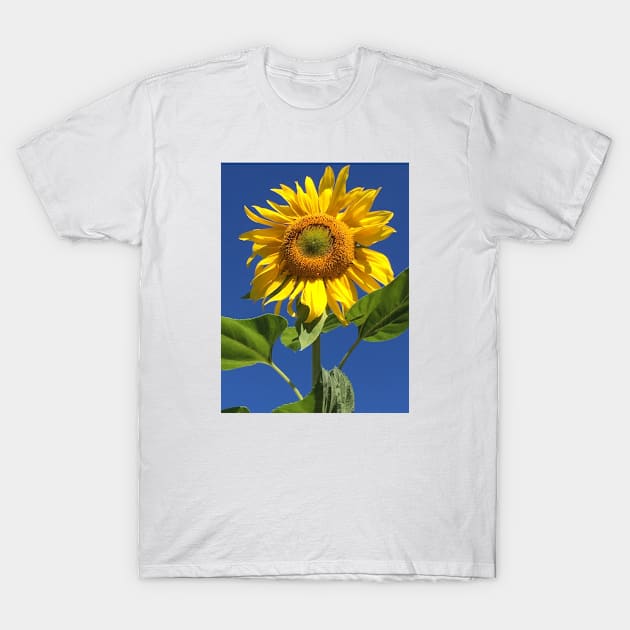 Sunflower on a Clear Day T-Shirt by jenesaiscluck